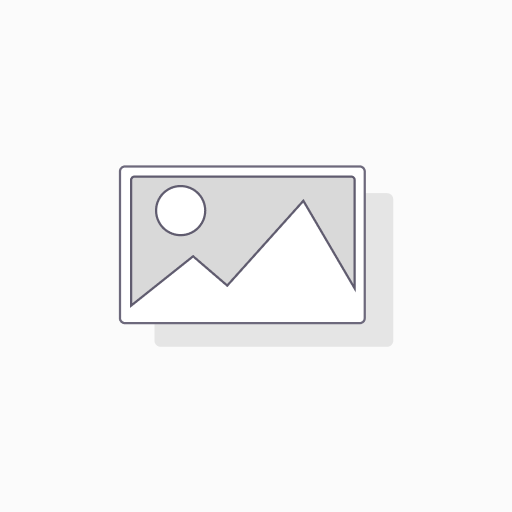 FORK,INDIVID WRAPPED